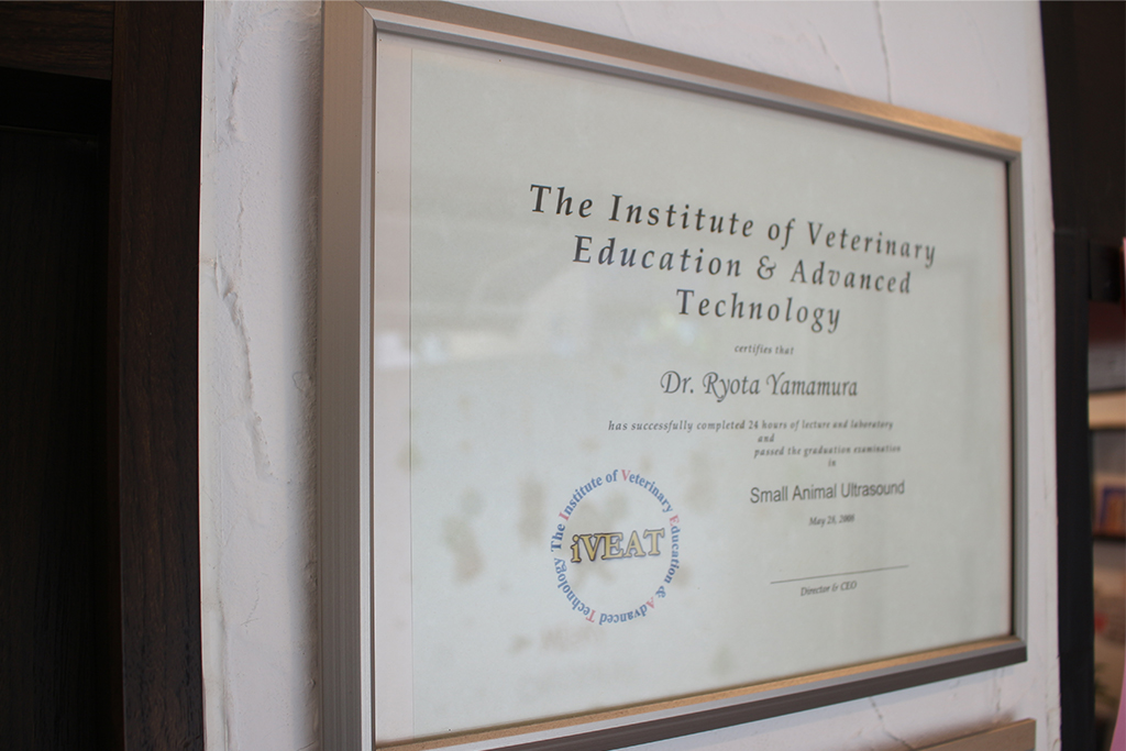 The Institute of Veterinary Education & Advanced Technology 受講